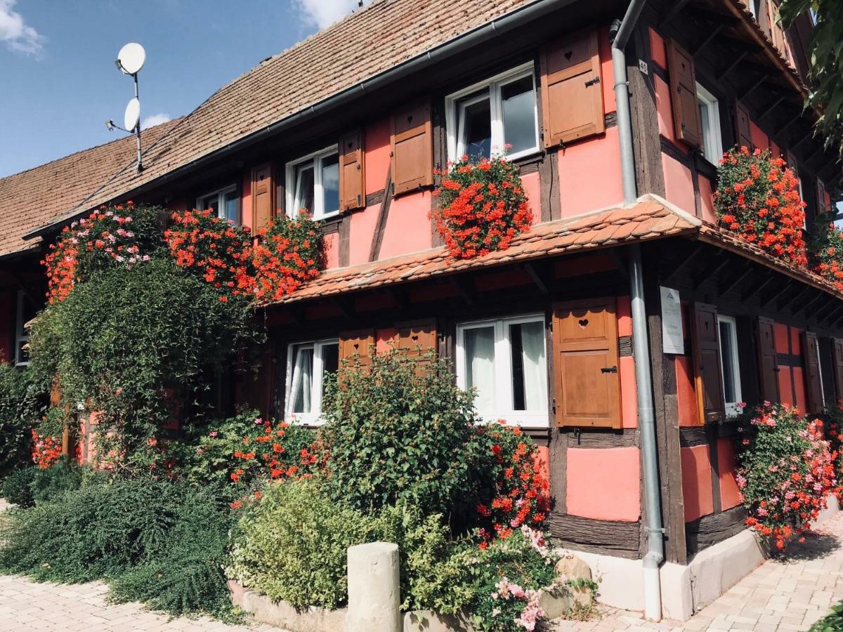 Les Authentics - Le Domaine D'Autrefois & Spa Bolsenheim Ngoại thất bức ảnh